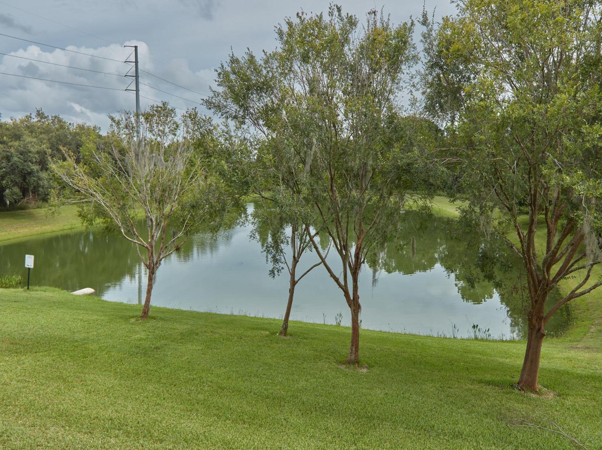 Spring Retreat Near Disney, Perfect For Families Kissimmee Room photo